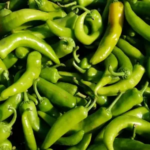 Milde Peperoni