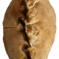 119-2